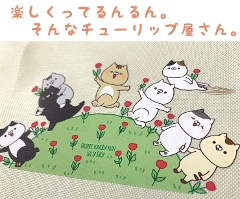 y󒍐Yz艀c TRbV `[bvVbv