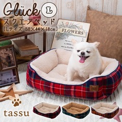 XNGAxbhL 58~44~18cm ObN ybgxbh tassu ^bX {A `FbN ^[^`FbN p Gluck   Ck L lR ˂ ybg ybgp xbh CeA   168-6784