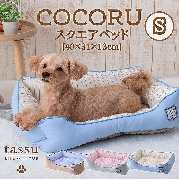 Cocoru �R�R�� �X�N�G�A�x�b�hS 40�~31�~13cm
