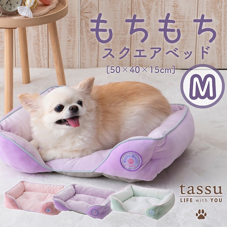 �������� �X�N�G�A�x�b�hM 50�~40�~15cm