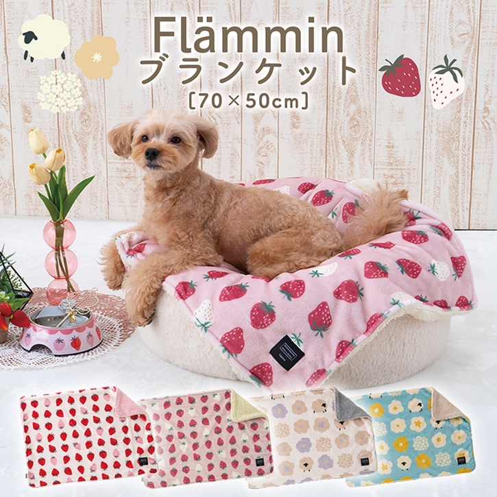 �y���[���֑Ή��z�t�����~�� �y�b�g�p �u�����P�b�g 70�~50cm
